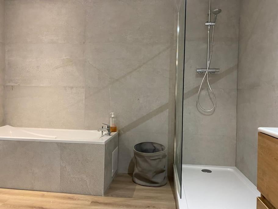 Maison Entiere 6 Personnes Jardin Terrasses Et Garage Nancy Eksteriør bilde